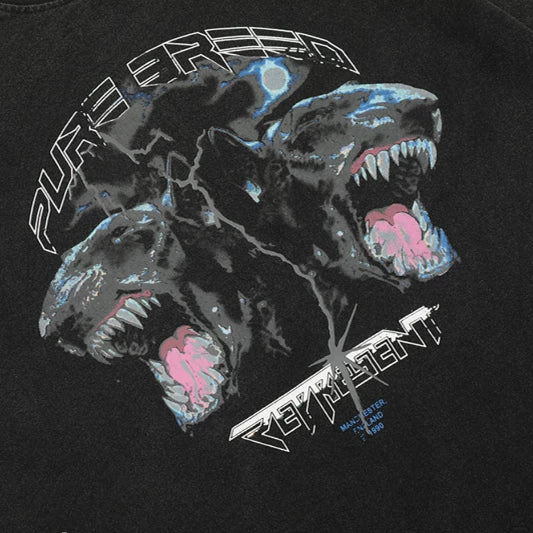 Representative Double Headed Dog Lightning Bull Terrier Washed and Used Short sleeved American High Street Loose Men's and Women's T-shirt Trendy